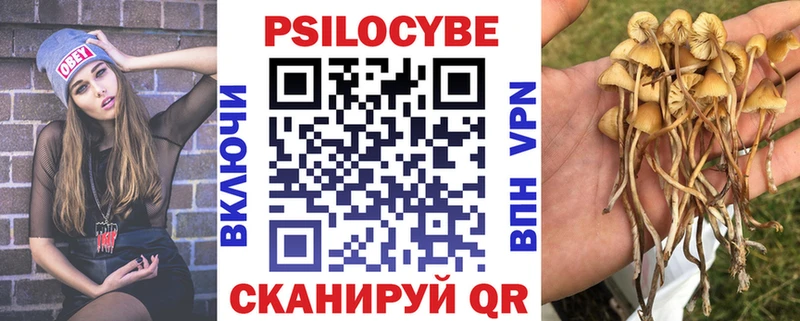 omg вход  Пыталово  Псилоцибиновые грибы MAGIC MUSHROOMS  закладки 